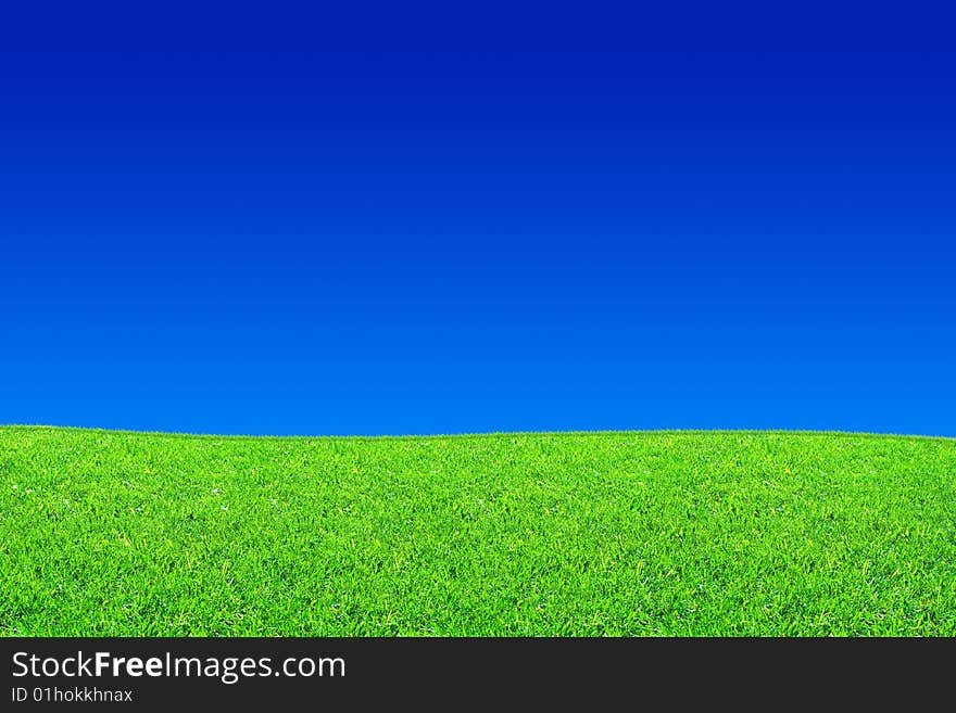 Fresh green grass and blue sky background