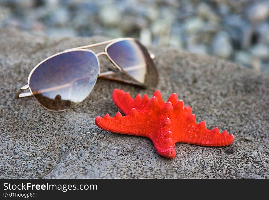 Starfish and glasses