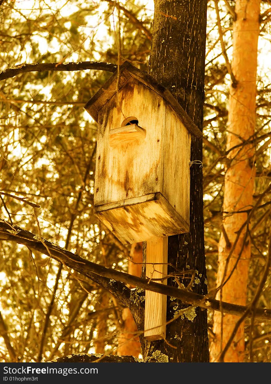 Small House For Birds