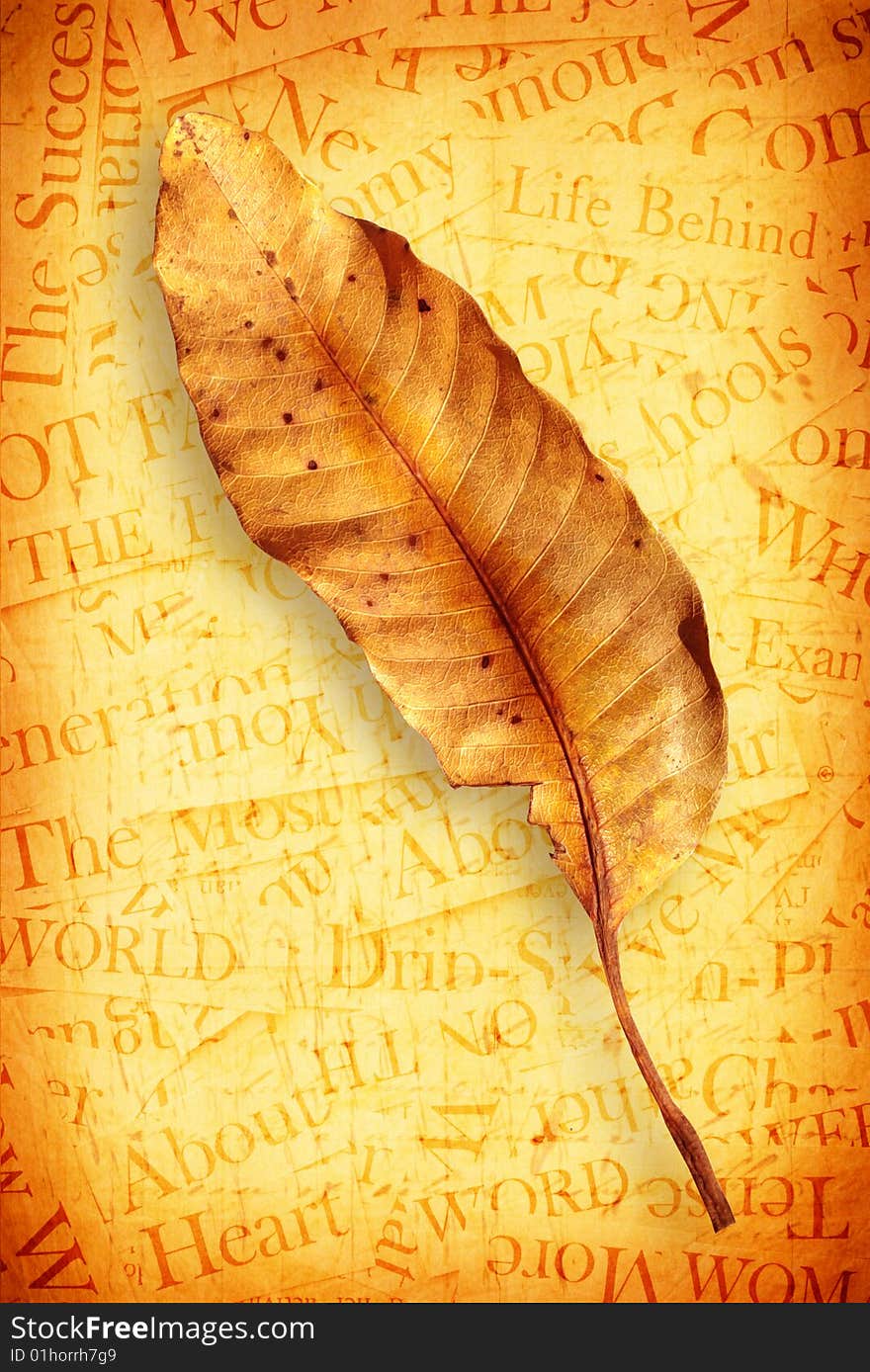 Leaf on old paper background