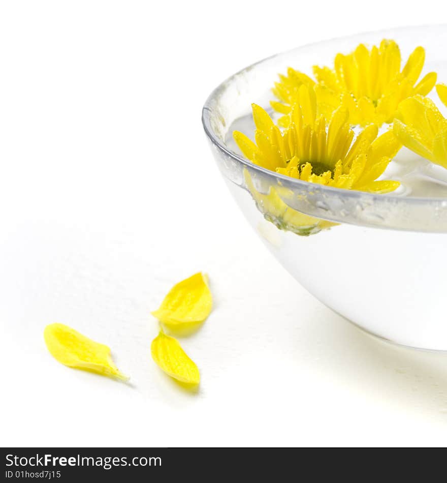 Yellow flowers