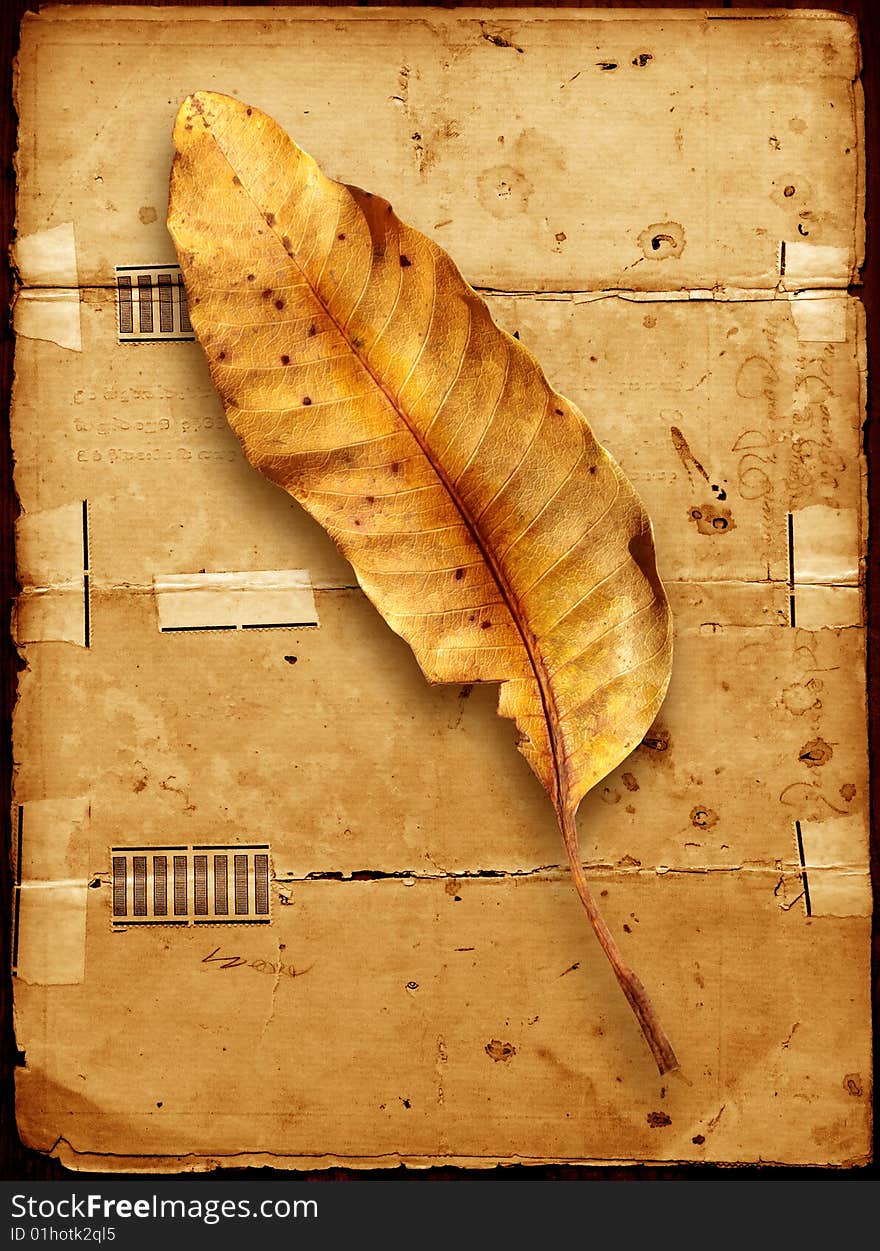 Leaf on old paper background