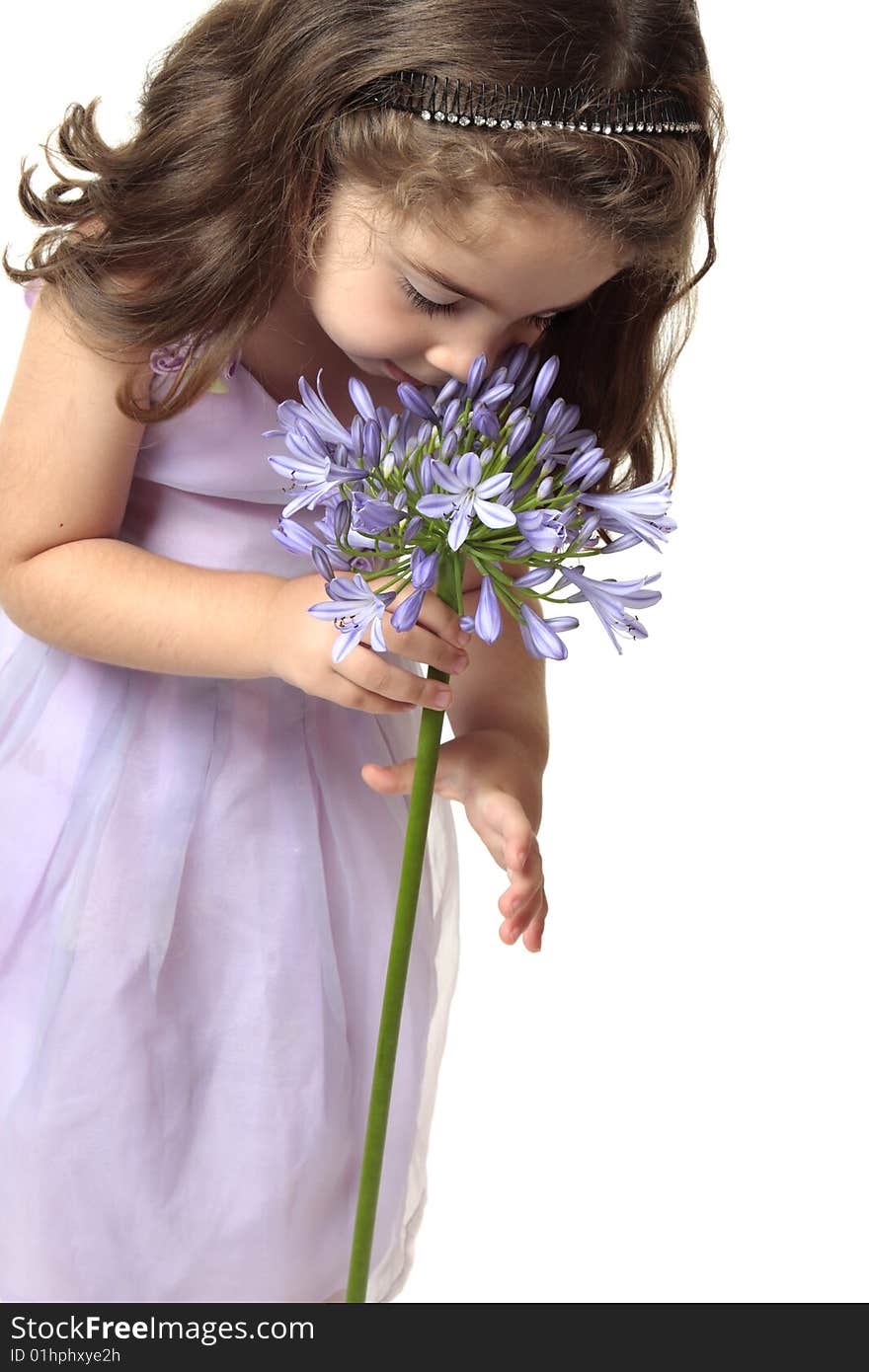 A young girl smelling a large african lily - agapanthus. A young girl smelling a large african lily - agapanthus