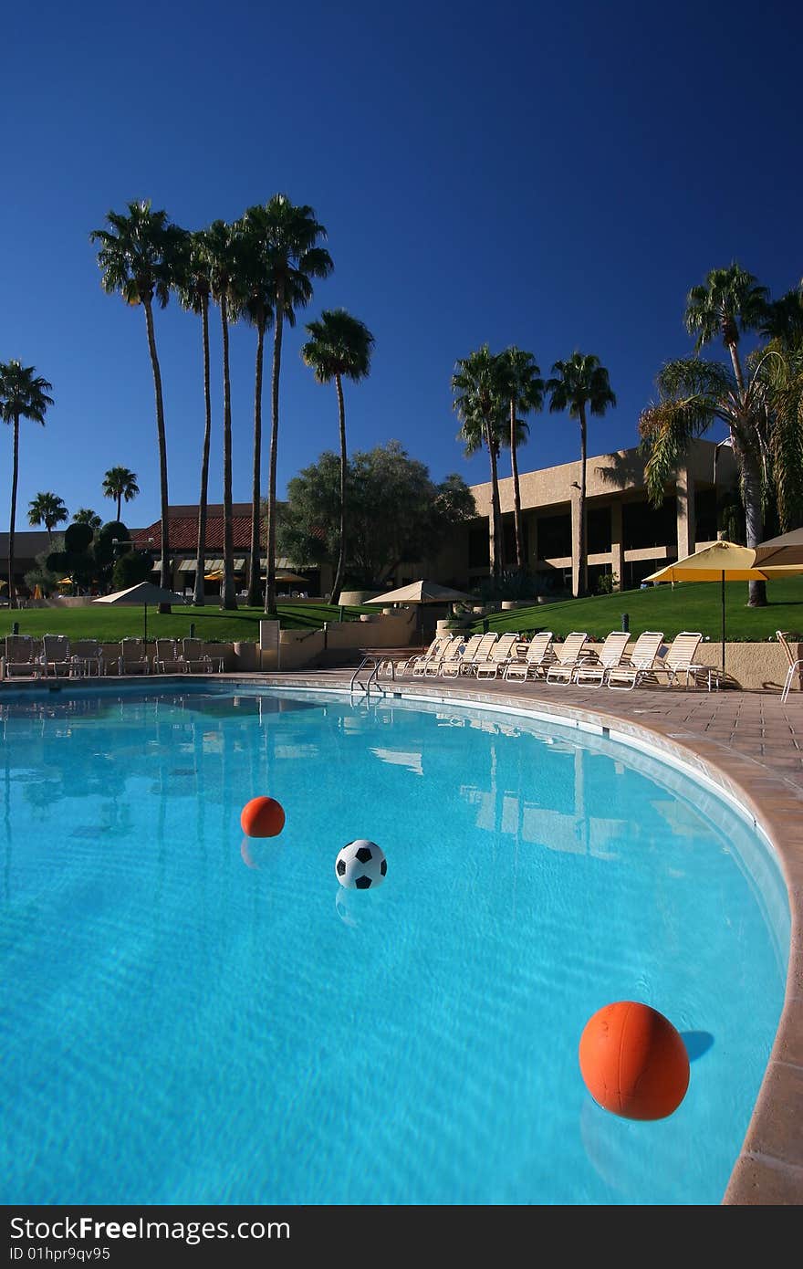 Azure blue swimming pool with palm trees