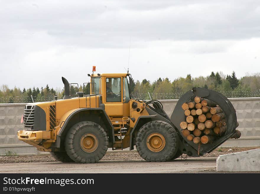 Commercial timber