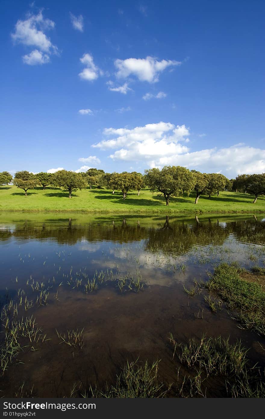 Spring landscape - beautiful lake and green field