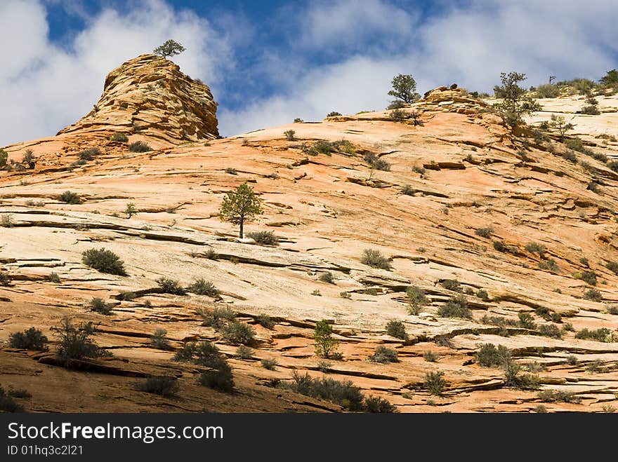 View of sandstone landscape in Zion National Park