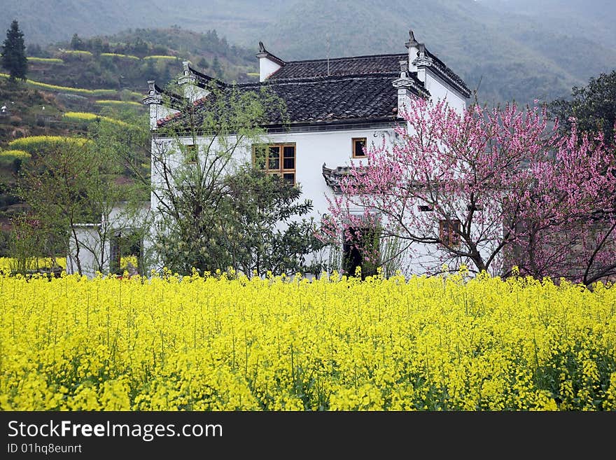 Chinese village