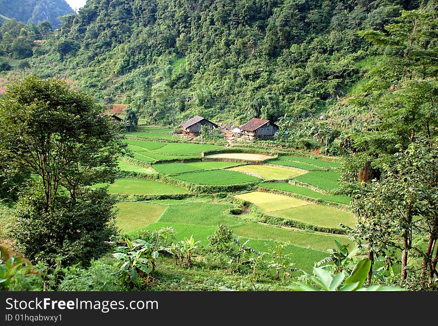 Valley landscape in Vietnam