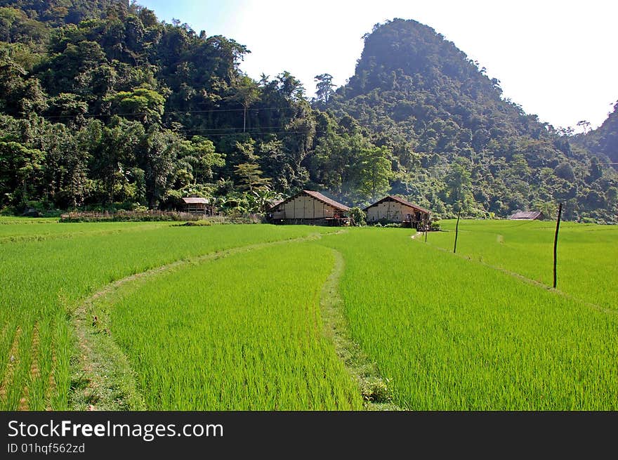 Very beautiful landscape of mountainous area in Vietnam. Very beautiful landscape of mountainous area in Vietnam
