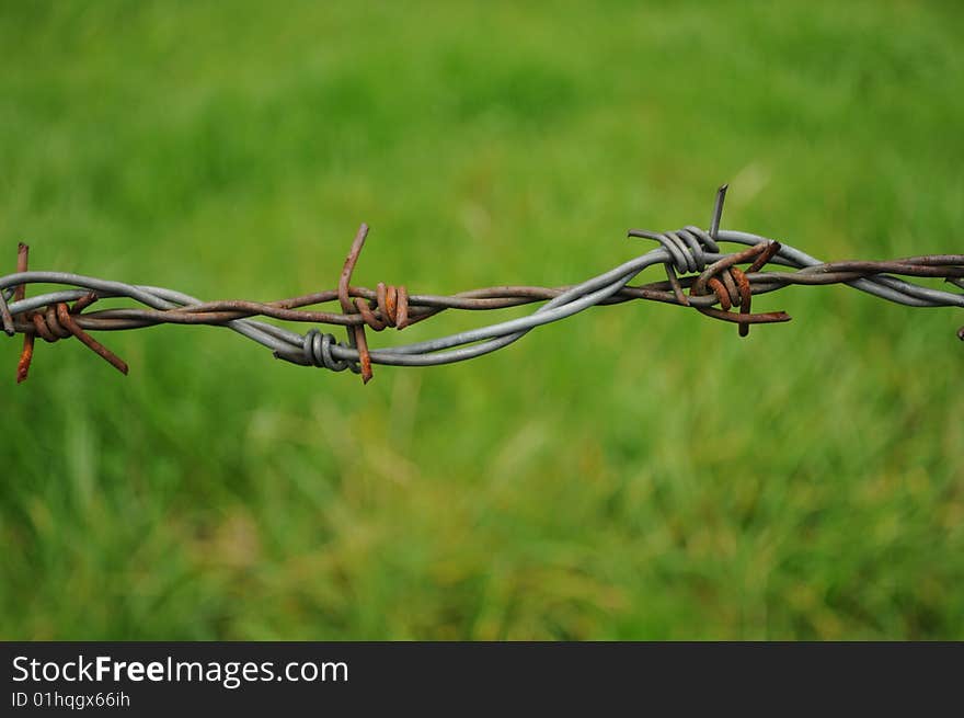 A barb wire fence at an alpine meadow. A barb wire fence at an alpine meadow.