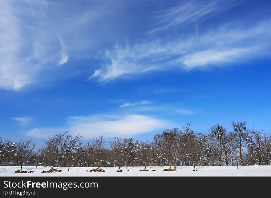 Winter landscape with beautiful clouds