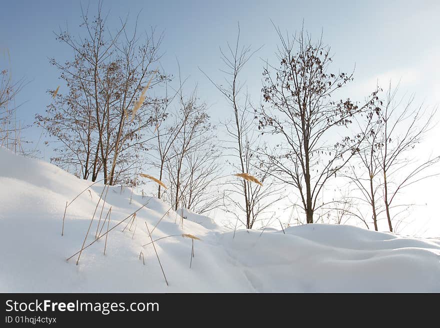 Winter landscape with beautiful clouds