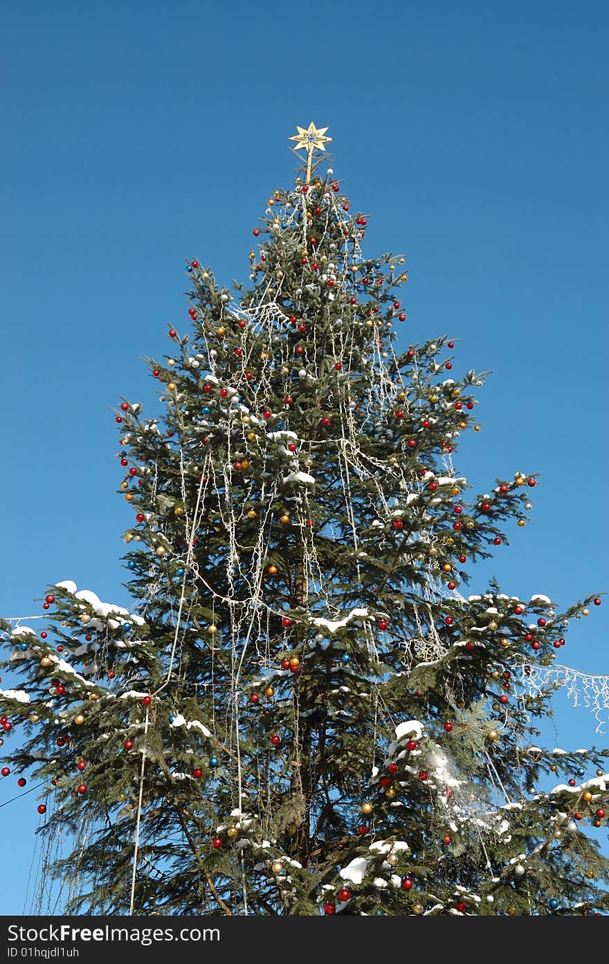 Christmas tree with golden star