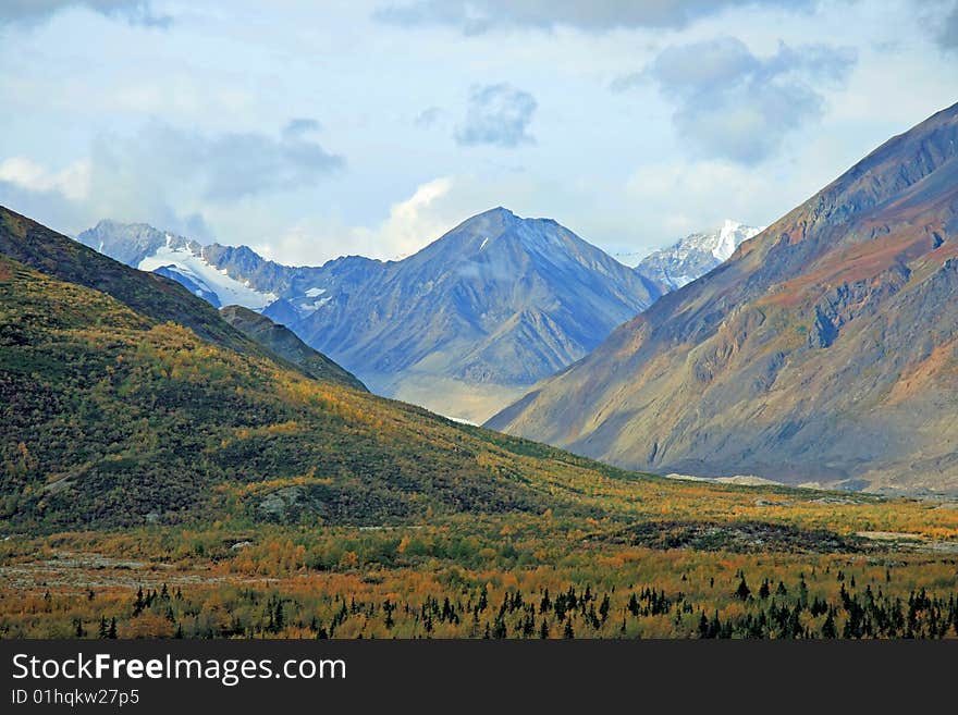 Forest and Mountains cover the Alaskan wilderness. Forest and Mountains cover the Alaskan wilderness