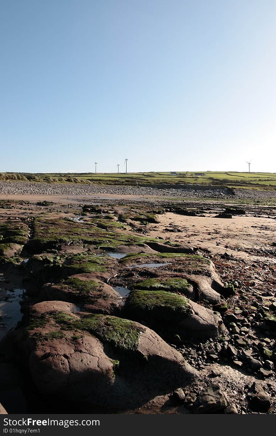 Sea weed covered rocks on beale beach co kerry ireland on a cold winters morning with turbines in the background. Sea weed covered rocks on beale beach co kerry ireland on a cold winters morning with turbines in the background