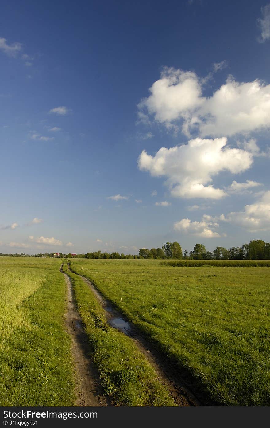 Blue sky and green grass in the poland. Blue sky and green grass in the poland