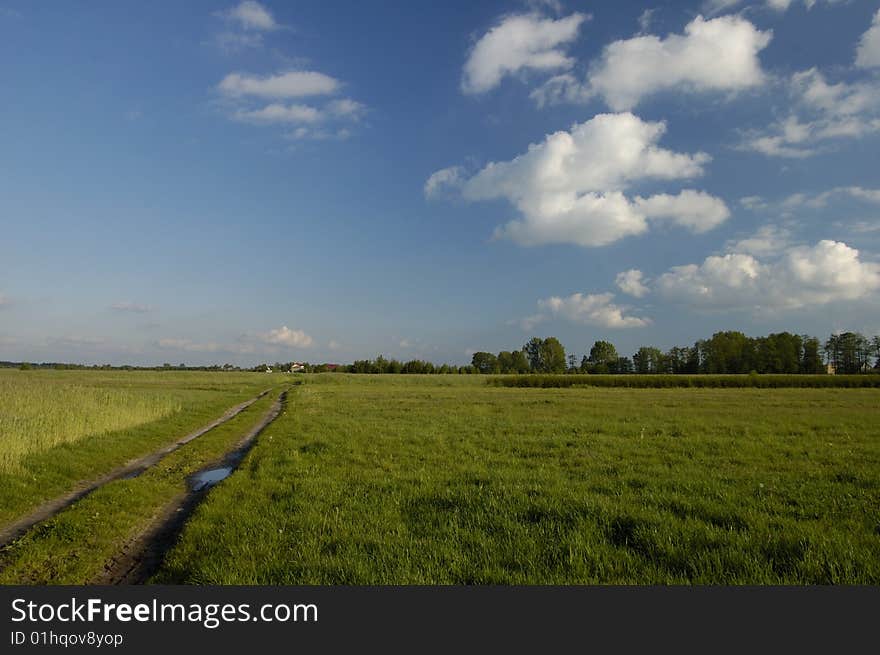 Blue sky and green grass in the poland. Blue sky and green grass in the poland