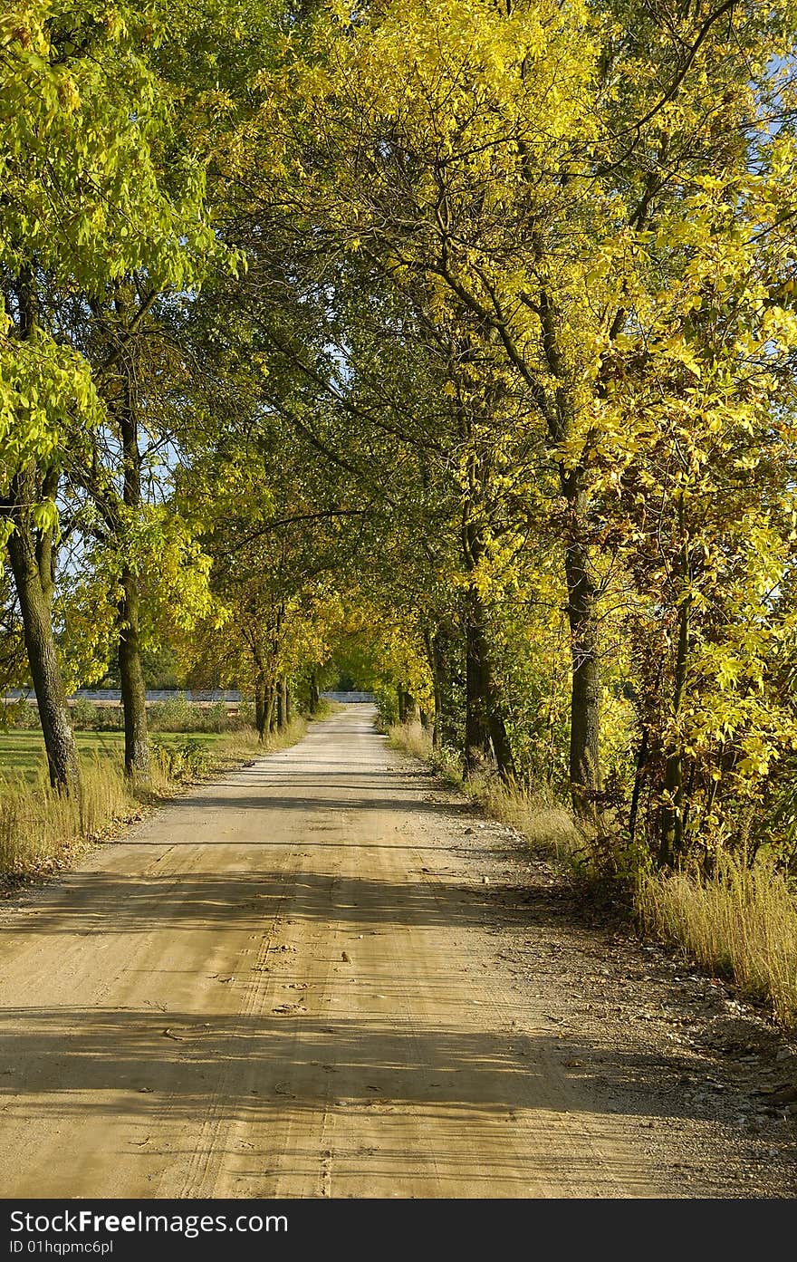 Polish road in autumn