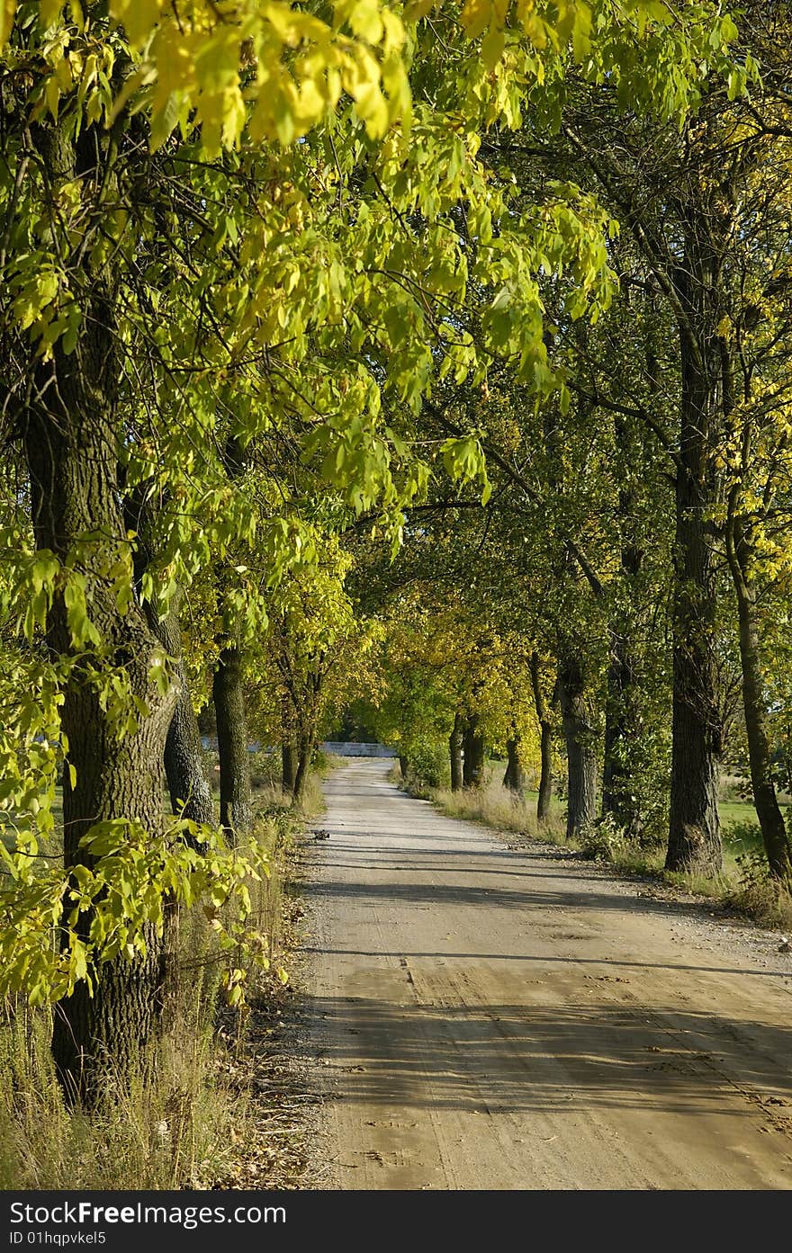 Polish road in autumn