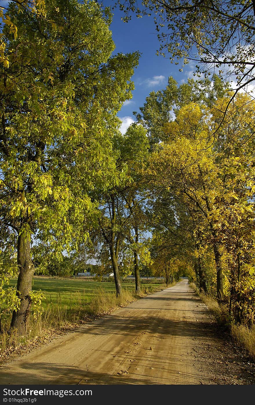 Polish road in autumn