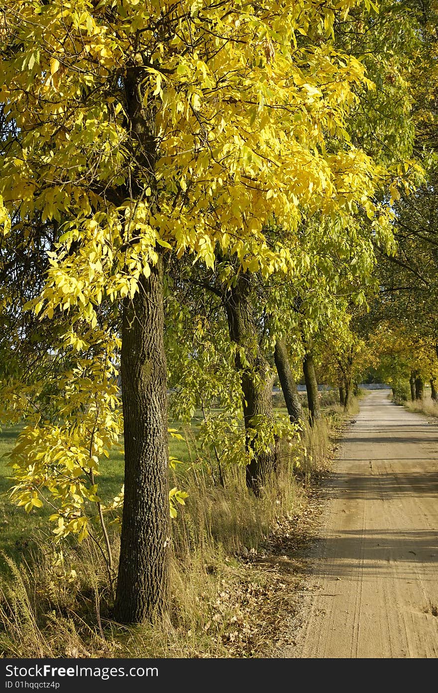 Polish road in autumn