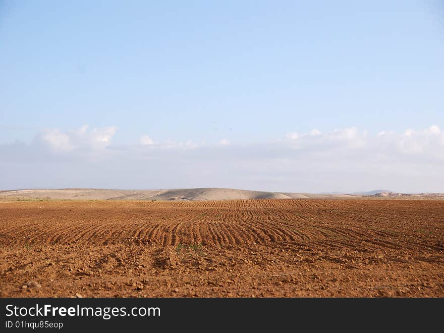 Kind of the ploughed field and the first sprouts on it. Kind of the ploughed field and the first sprouts on it