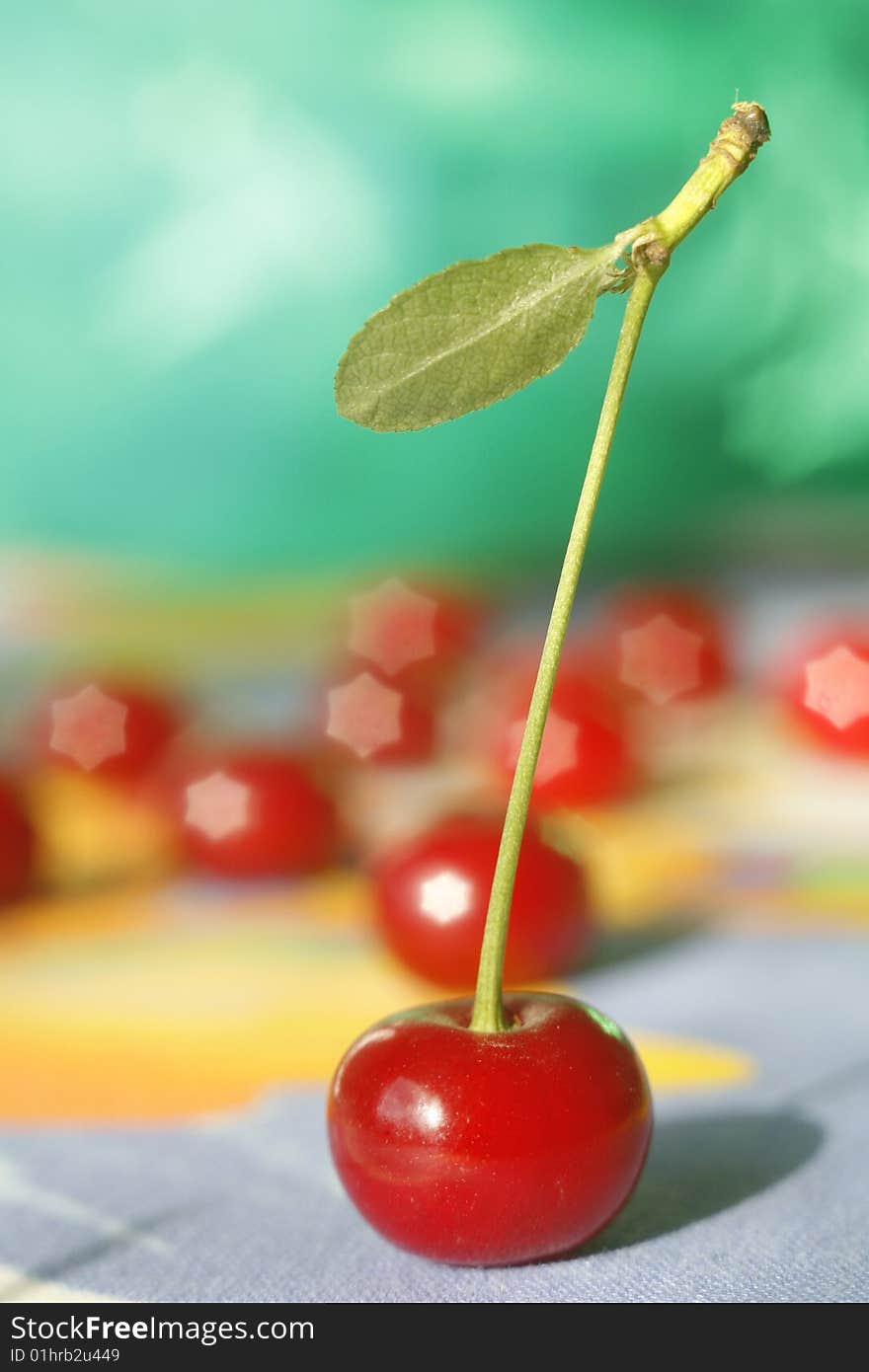 Fresh cherryRed cherry on a green branch