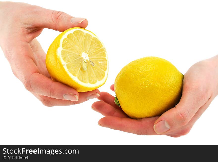 Woman's hands holding citrus fruits (lemon) isolated on a white background