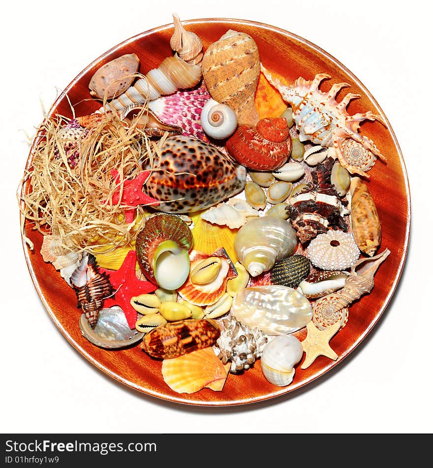 A beautiful alluvial of different seashells laying on wood dish