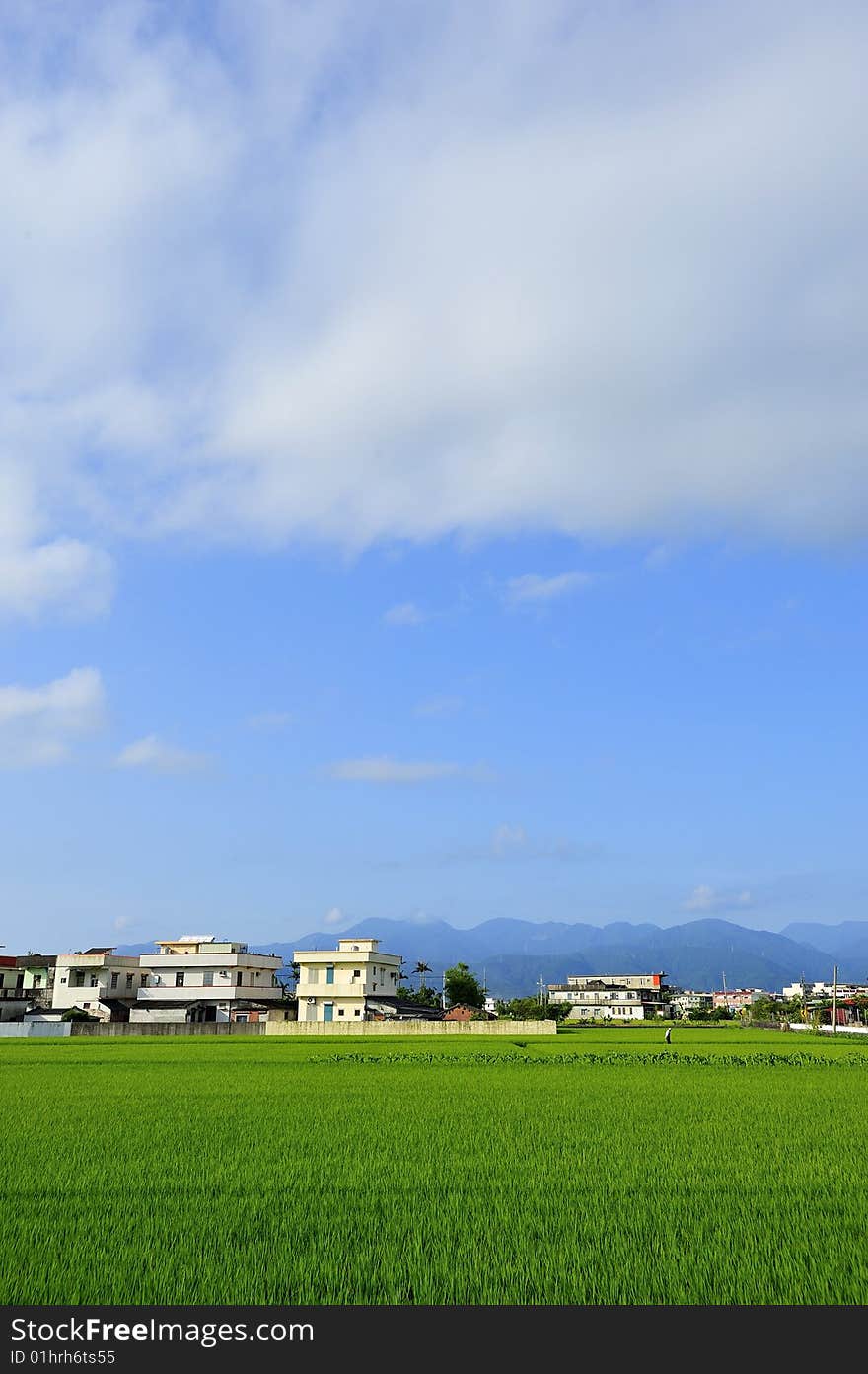 Blue Sky and Green Grassland. Blue Sky and Green Grassland