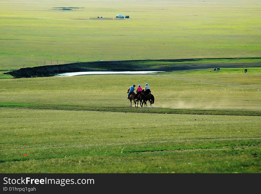 Beautiful vast prairie Baiyun were blossoming