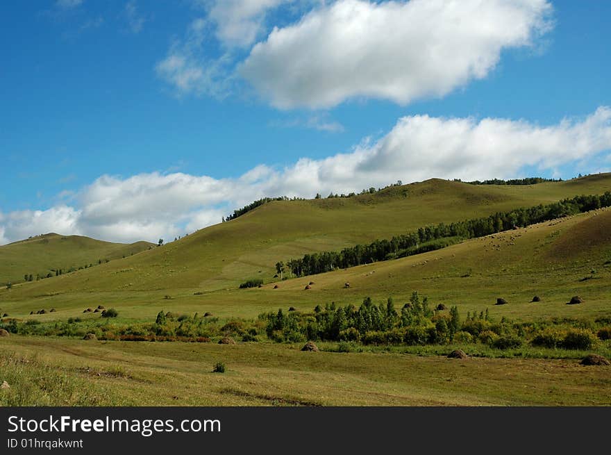 Grassland in Inner Mongolia on the summer sky - blue sky and white clouds.