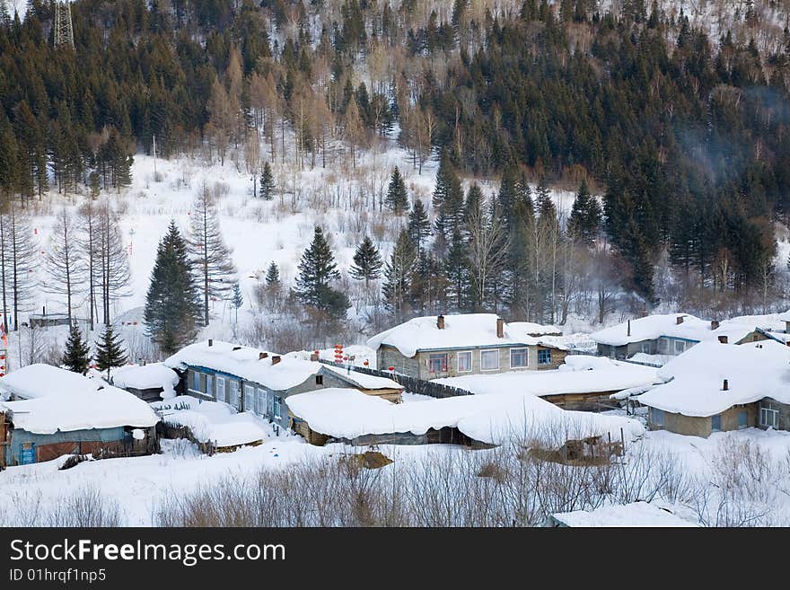 houses covered in snow in winter