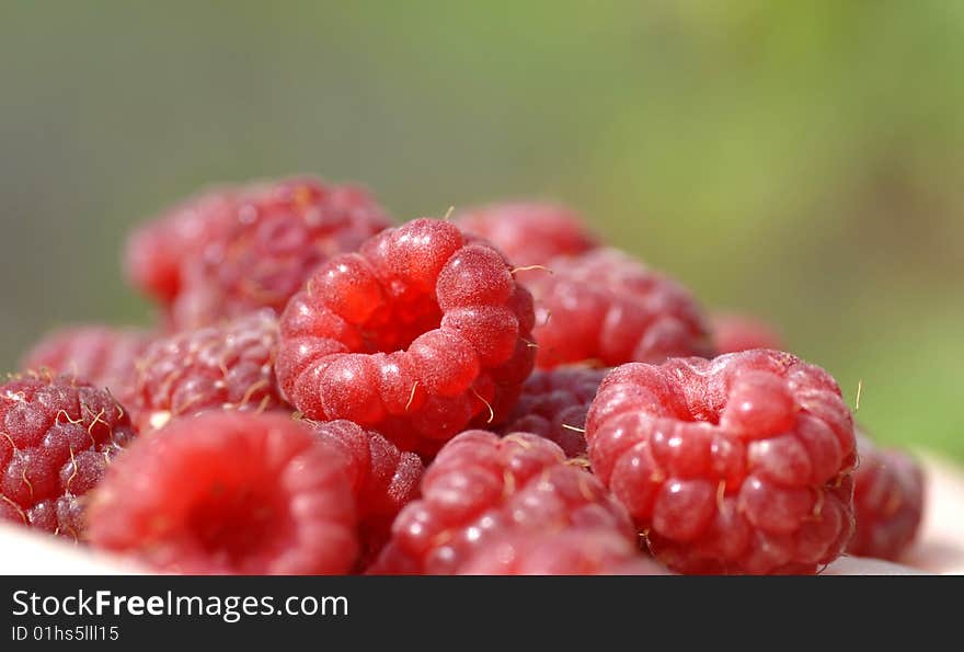 Closeup of raspberries