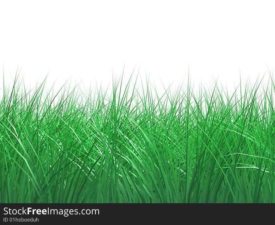 Rendered grass isolated on white