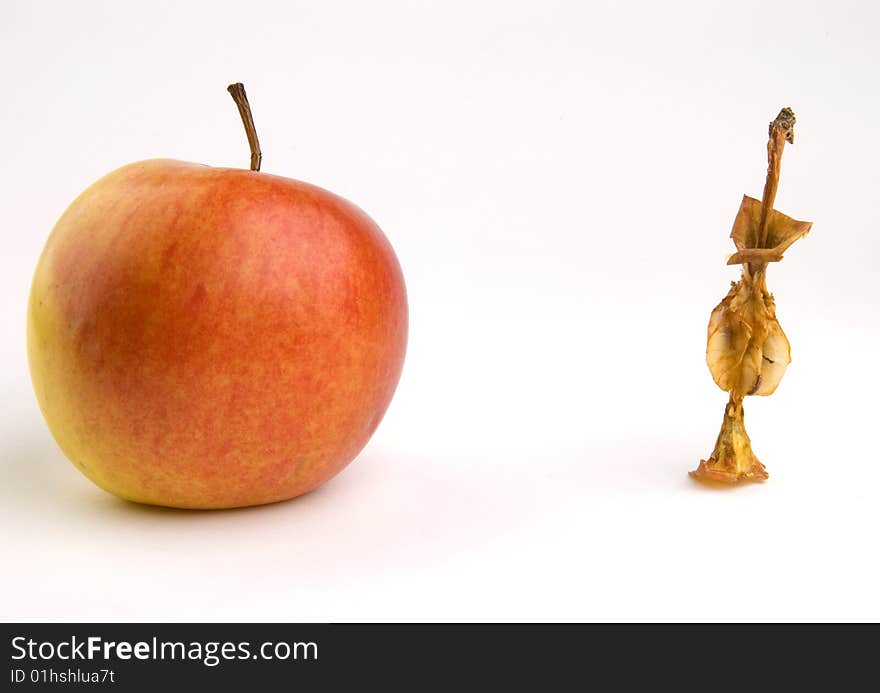 Isolated apple core on white