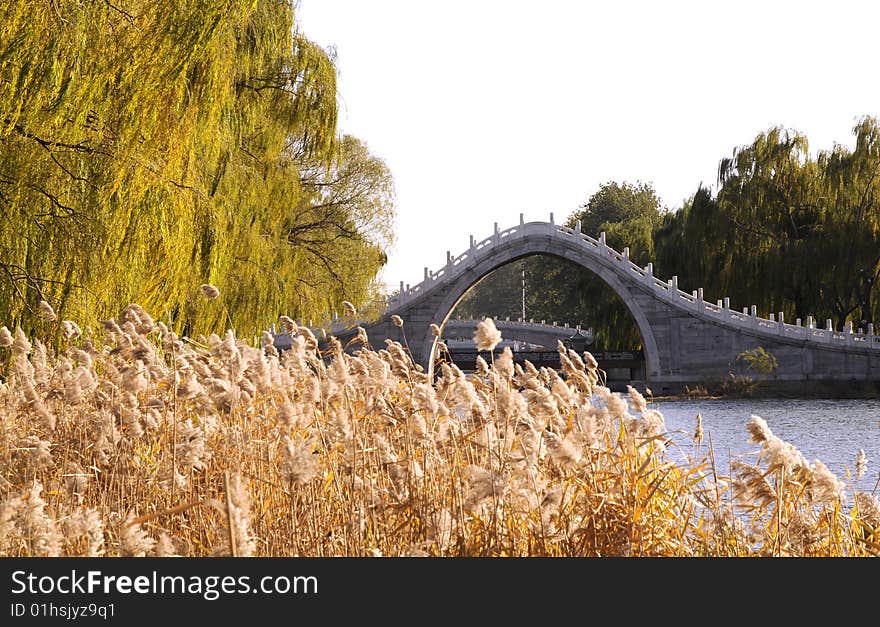 Bridge with arch architecture