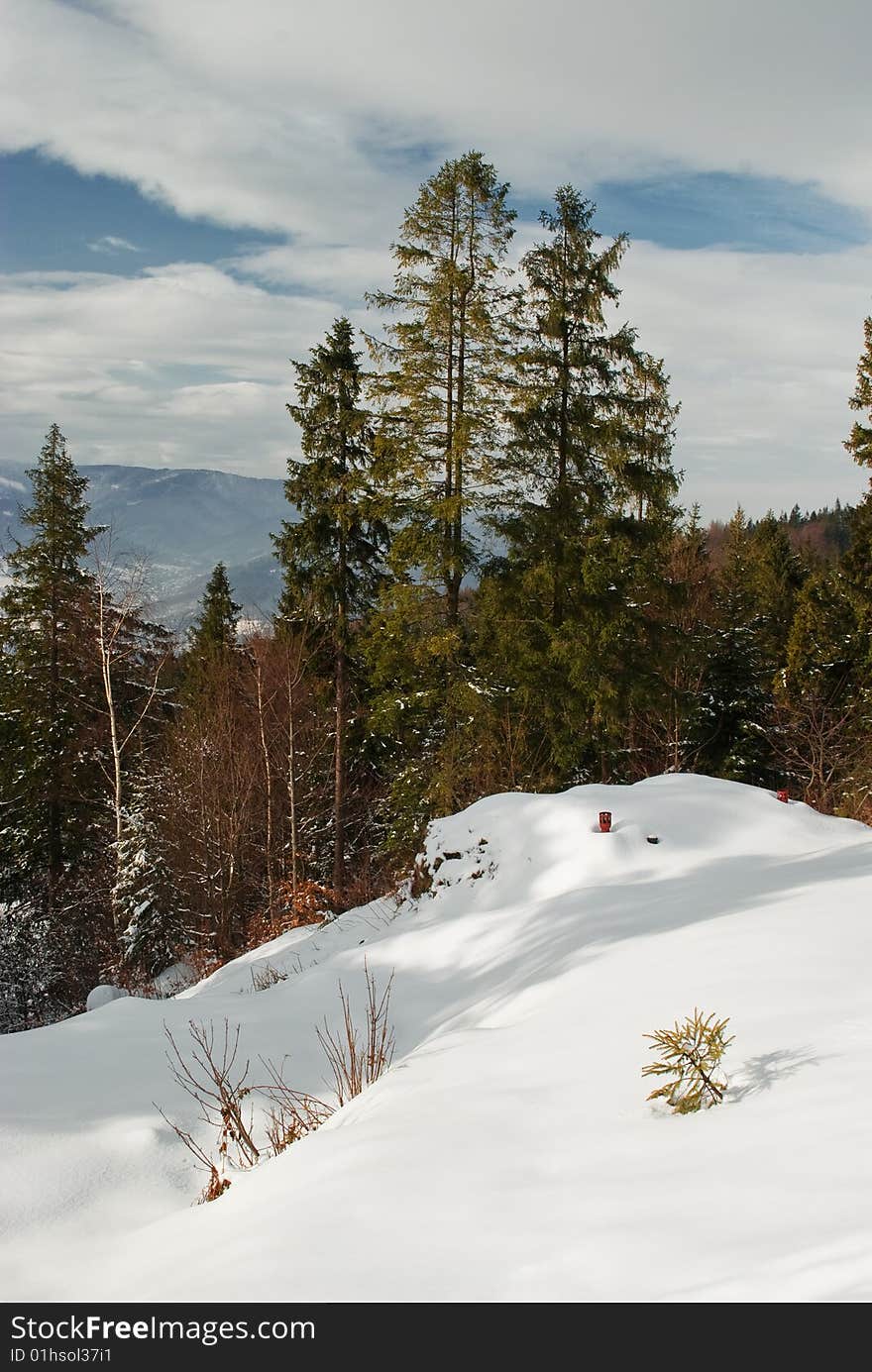 A white, sunny day in Beskidy Mountains, Poland. A white, sunny day in Beskidy Mountains, Poland