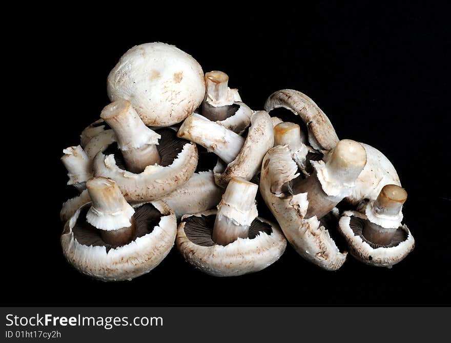 A pile of mushrooms for cooking