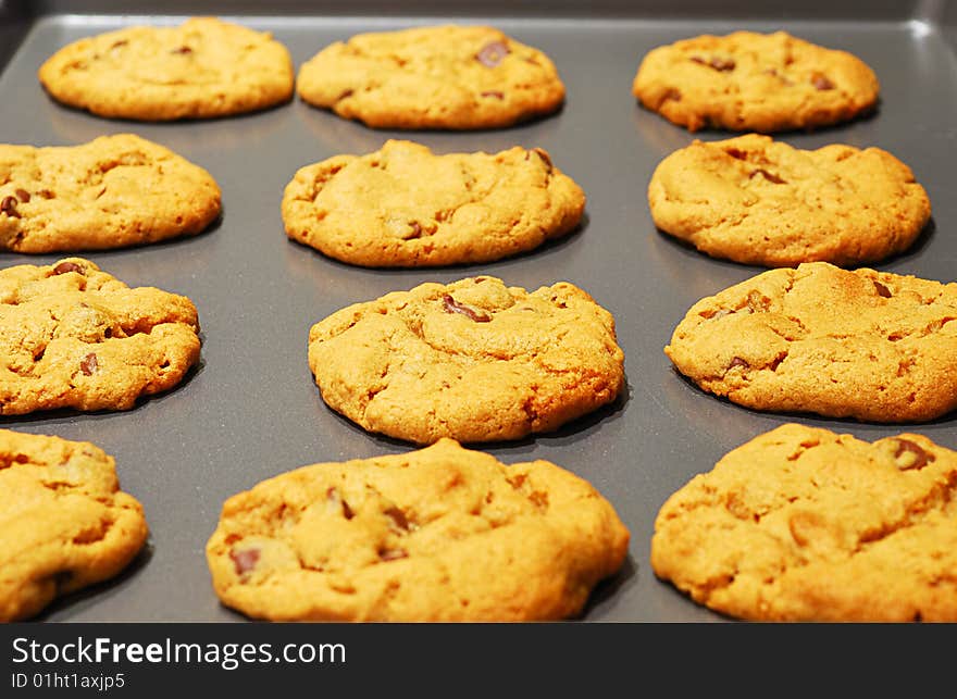 Fresh Chocolate Chip Cookies