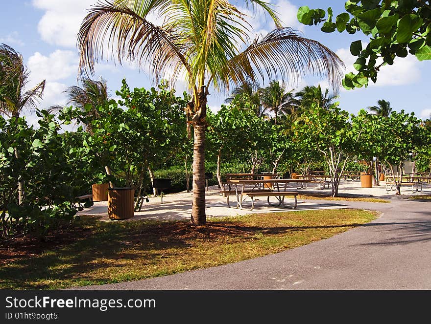 An empty Picnic area Gulfstream Park in Boynton Beach Fl. An empty Picnic area Gulfstream Park in Boynton Beach Fl