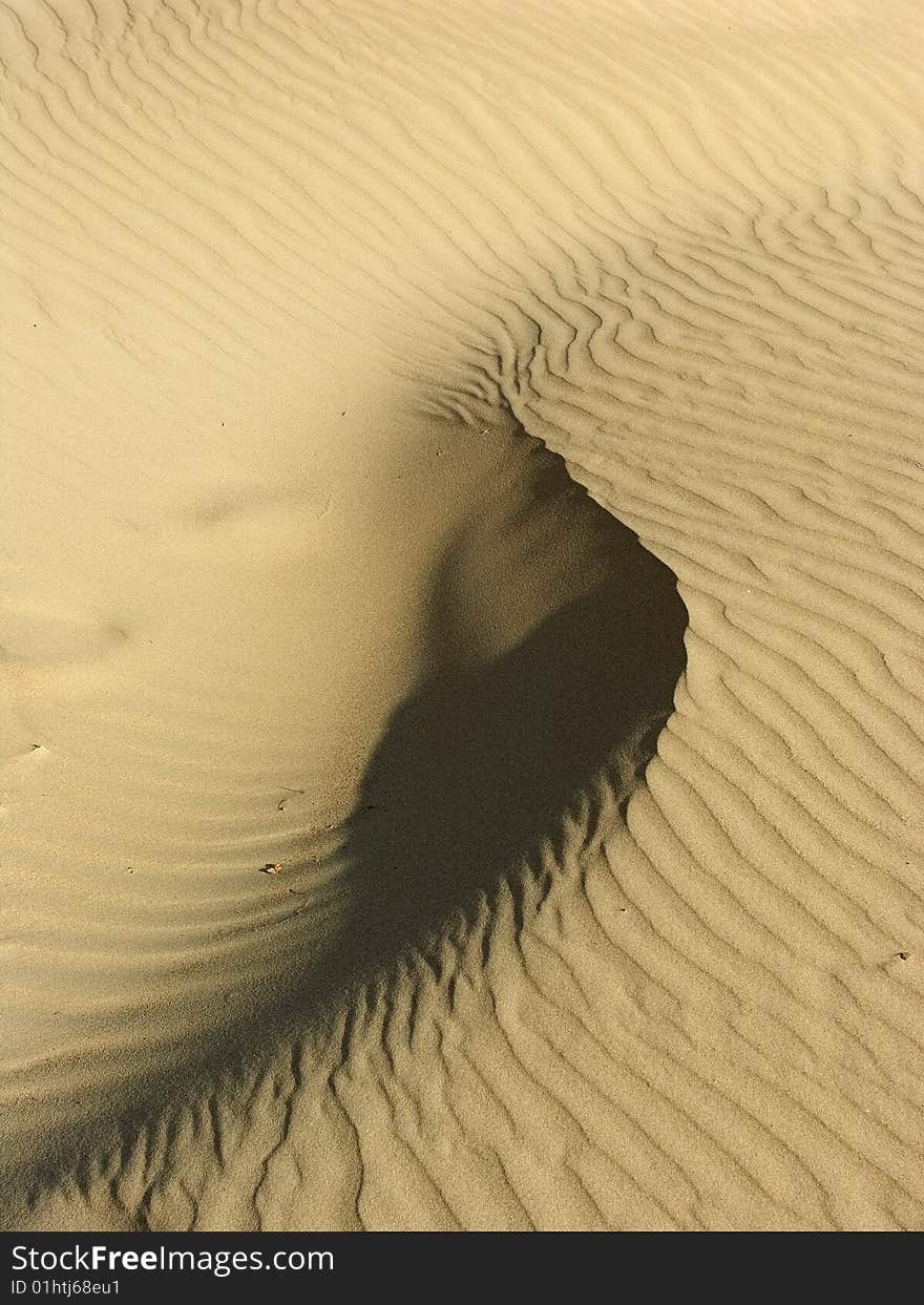 A yellow sand-dune background with a sand-wave