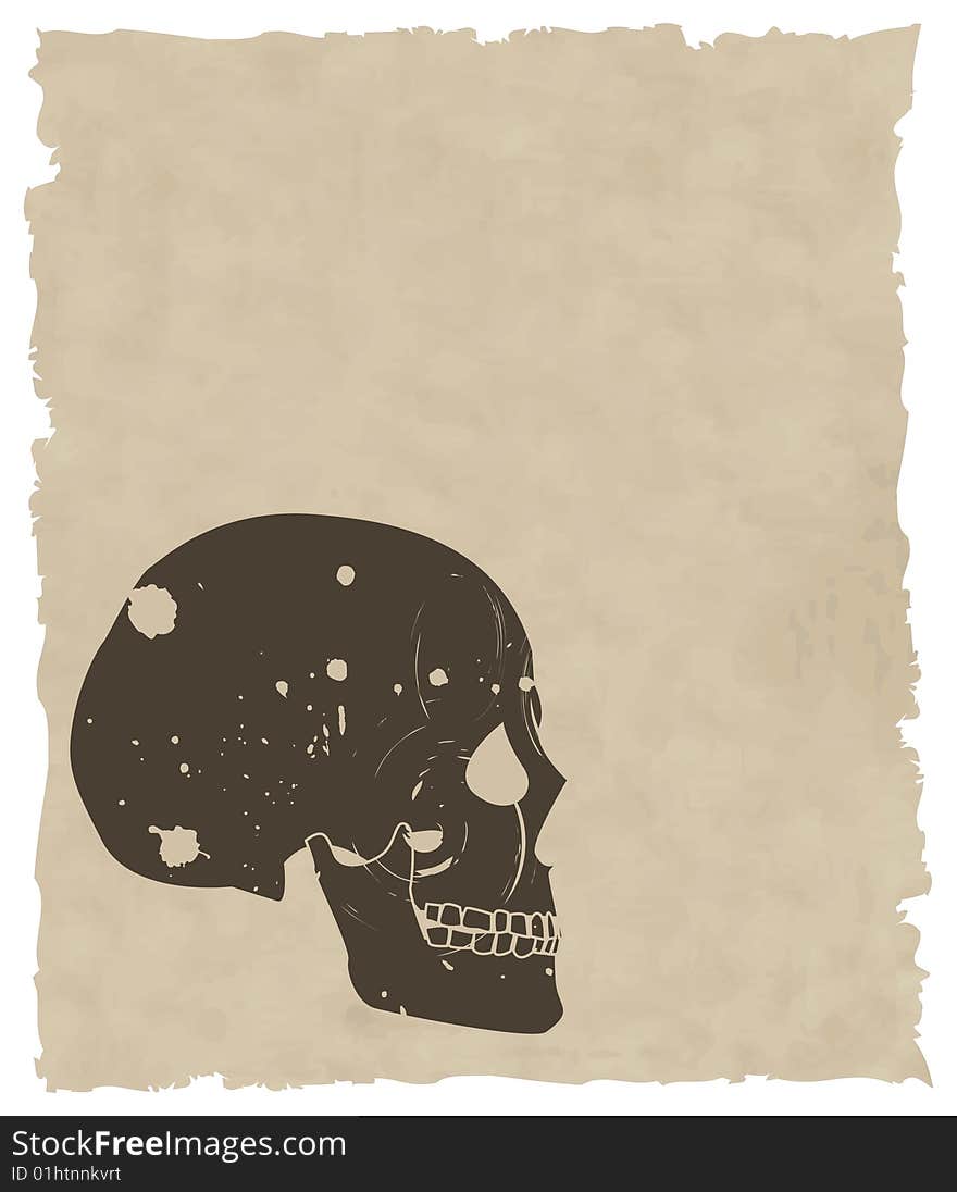 The brown vector grunge skull on old paper