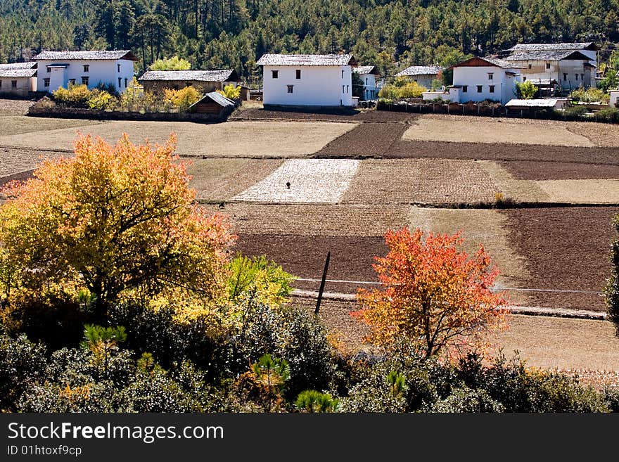 Village at autumn