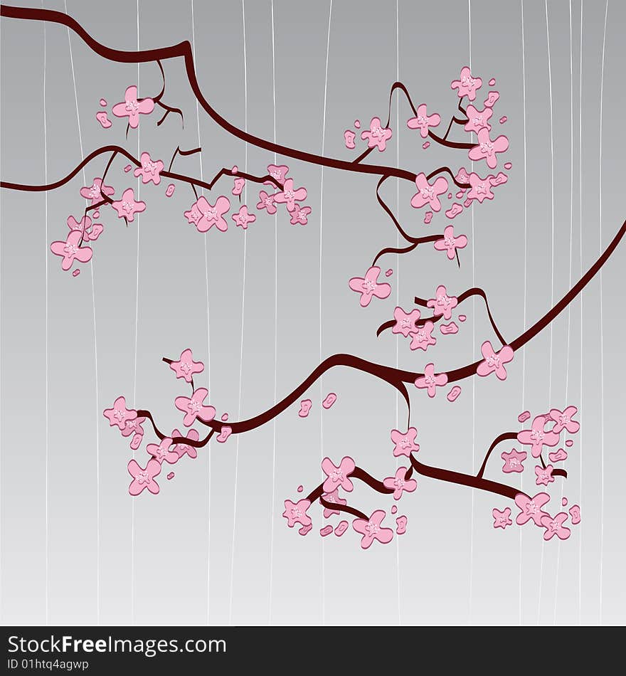 This is a  illustration of cherry blossoms. This is a  illustration of cherry blossoms