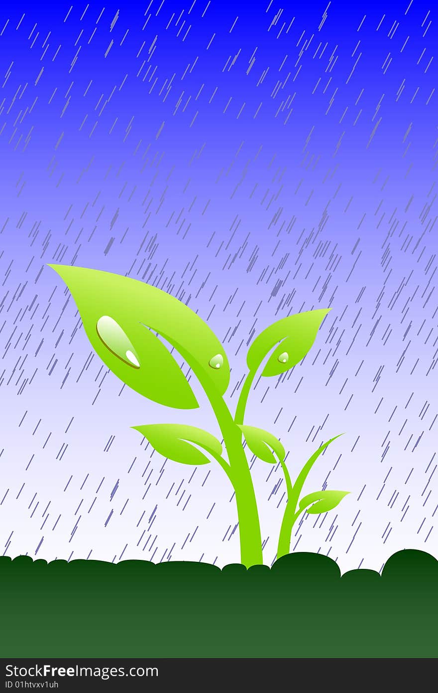 Plant in the rain, vector illustration