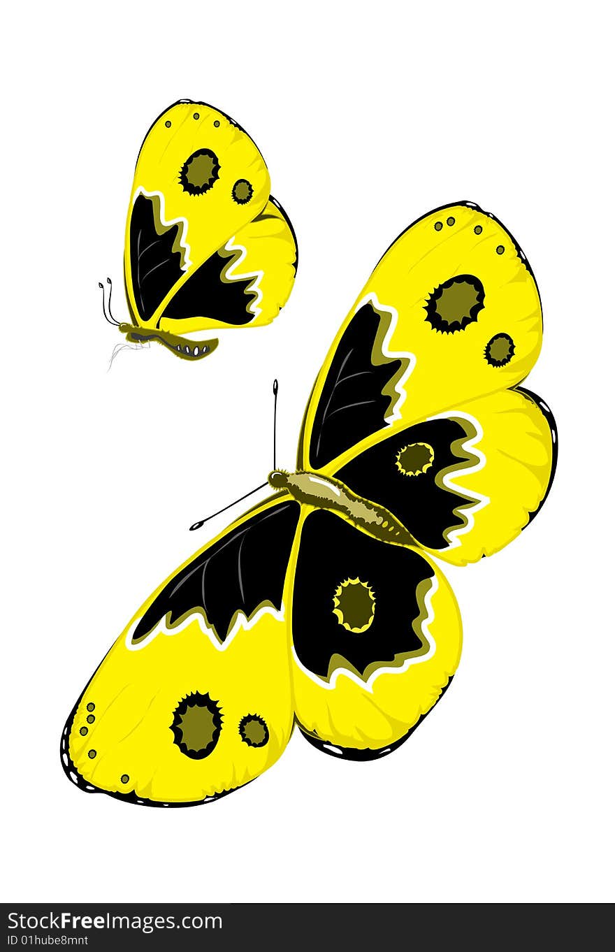 Illustration of cartoon yellow butterflies. Illustration of cartoon yellow butterflies