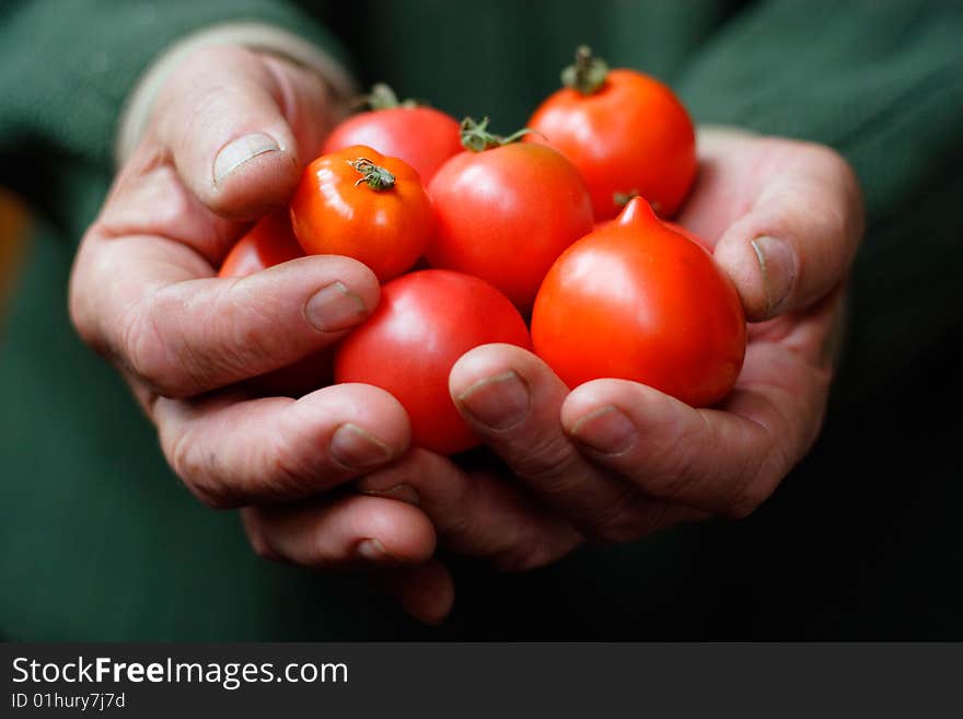 Tomatoes