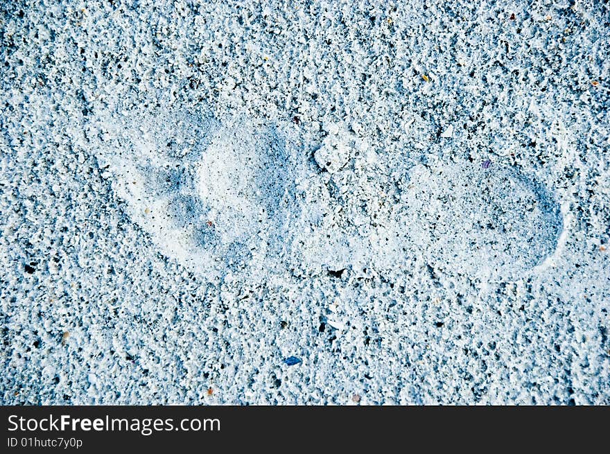 Footprint In Sand